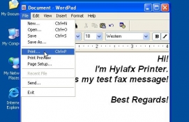 Hylafx Printer